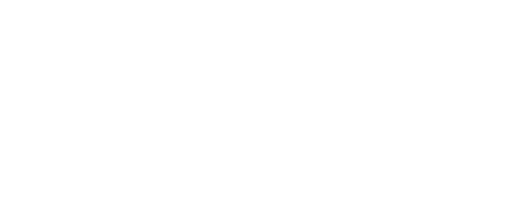 Logo Nouvelle Aquitaine